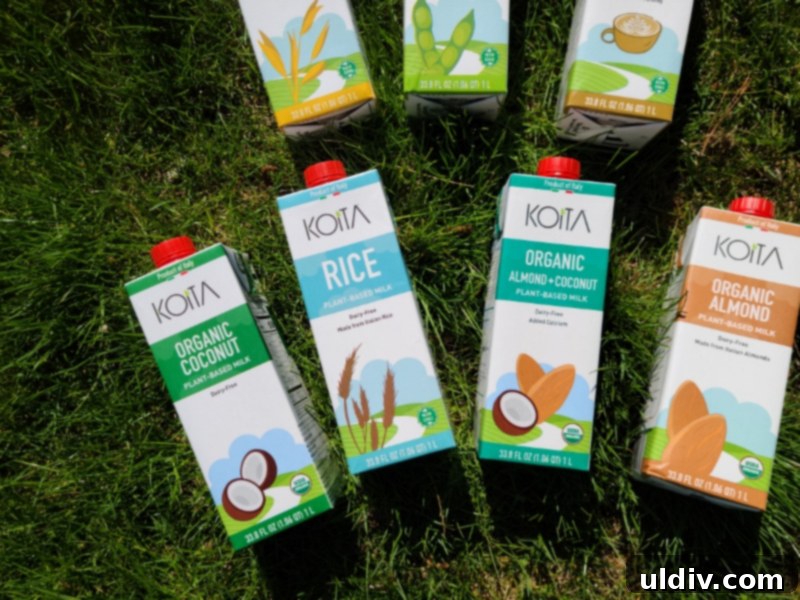 Plant Milk Chronicles: My Months of Dairy-Free Discoveries 7 Koita plant-based milks and ingredients