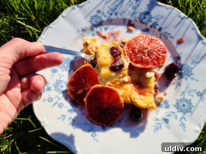Plant Milk Chronicles: My Months of Dairy-Free Discoveries 9 Bread pudding made with Koita plant-based milk