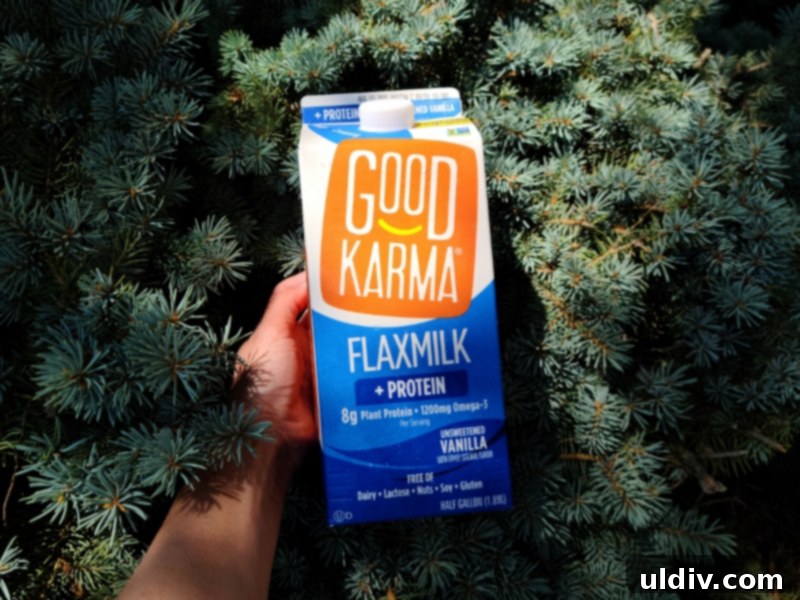 Plant Milk Chronicles: My Months of Dairy-Free Discoveries 10 Good Karma Flaxmilk + Protein Vanilla