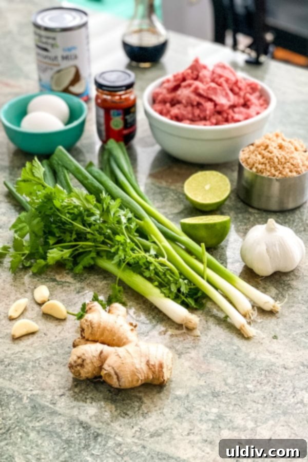 Spicy Red Thai Turkey Meatball Curry 4 A collection of fresh ingredients laid out for preparing Thai turkey meatballs, highlighting key aromatics and spices.