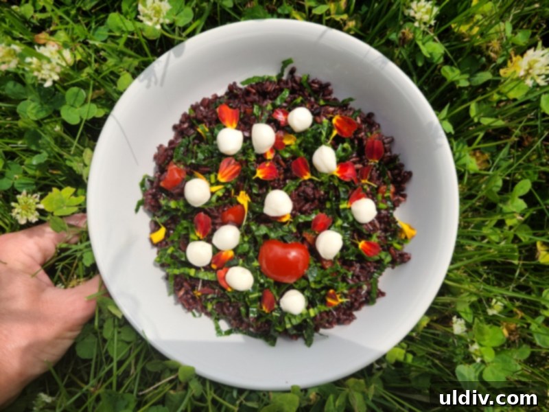 Forbidden Rice Salad Delicious Discovery 6 Close-up of the black forbidden rice salad with mozzarella pearls, highlighting the creamy texture.