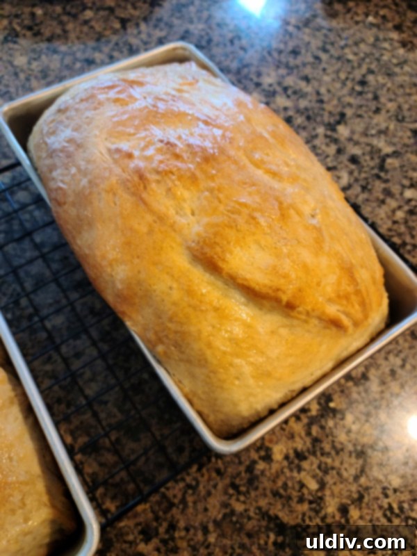 Close-up of fluffy, light homemade bread slices