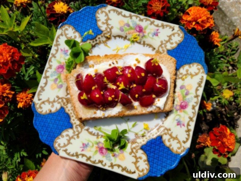 Freshly picked ripe mulberries, vibrant and juicy