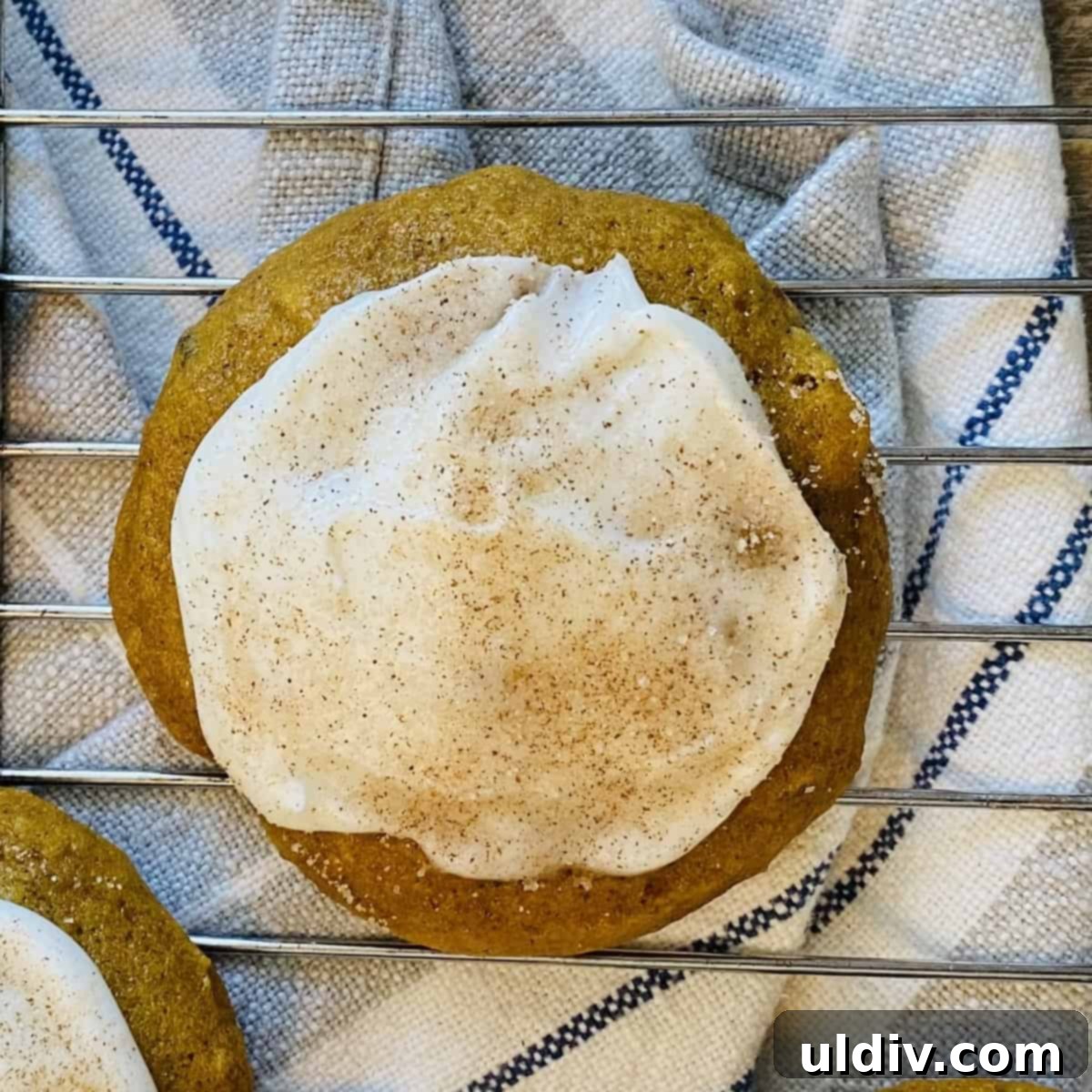 one pumpkin spice cookie with frosting and cinnamon sugar
