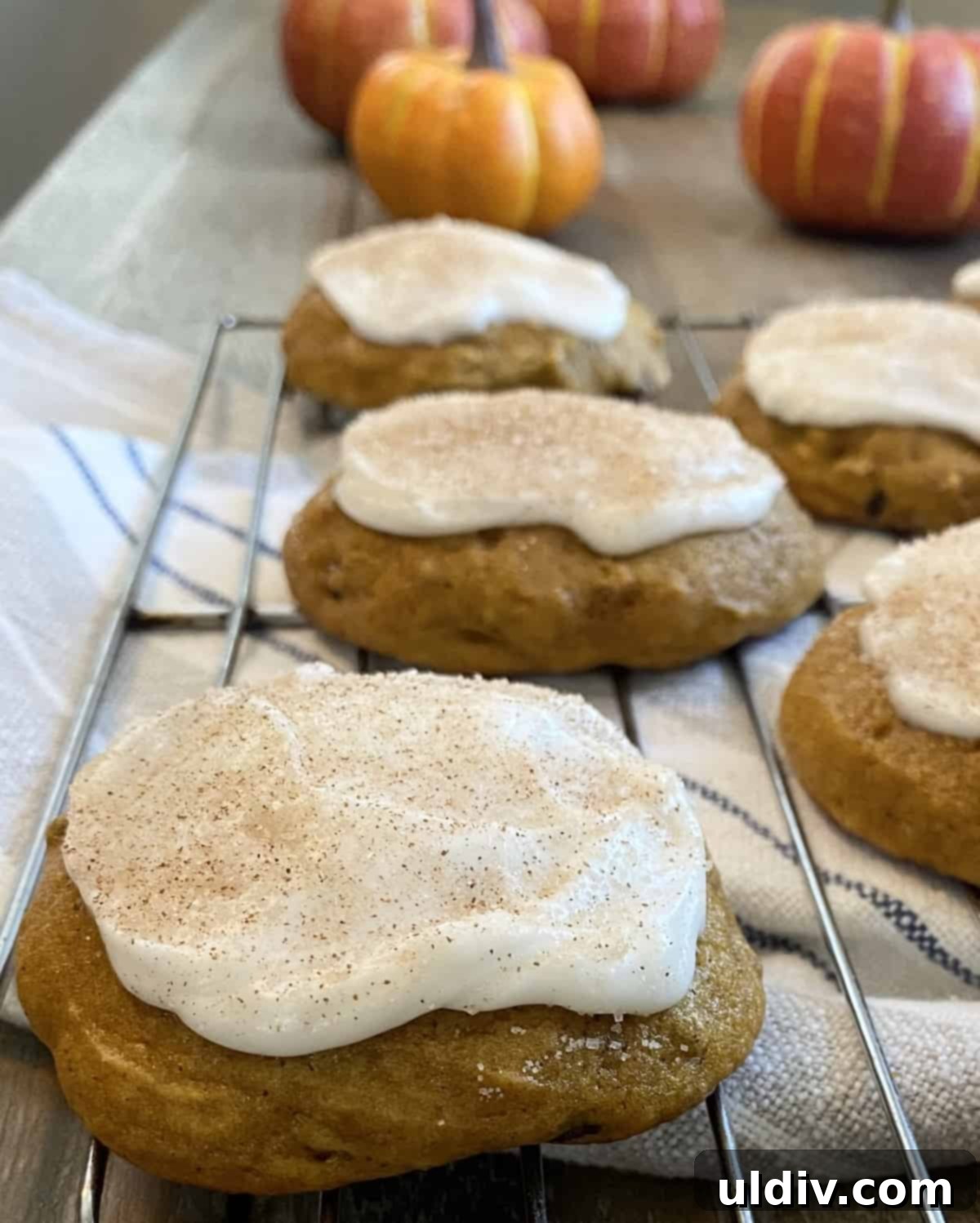 Velvet Pumpkin Spice Cookies, Buttercream Crowned 4 Five frosted pumpkin spice cookies arranged aesthetically