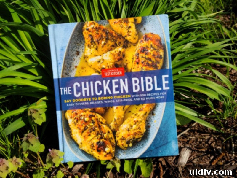 2021 Holiday Gift Guide Artisan Excellence 3 Cover of The Chicken Bible by America's Test Kitchen