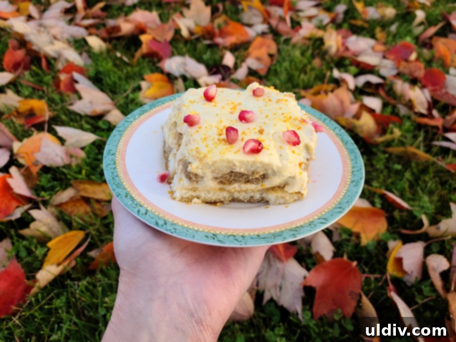 2021 Holiday Gift Guide Artisan Excellence 22 Tiramisu with pomegranate and pumpkin powder, made with Vietnamese coffee