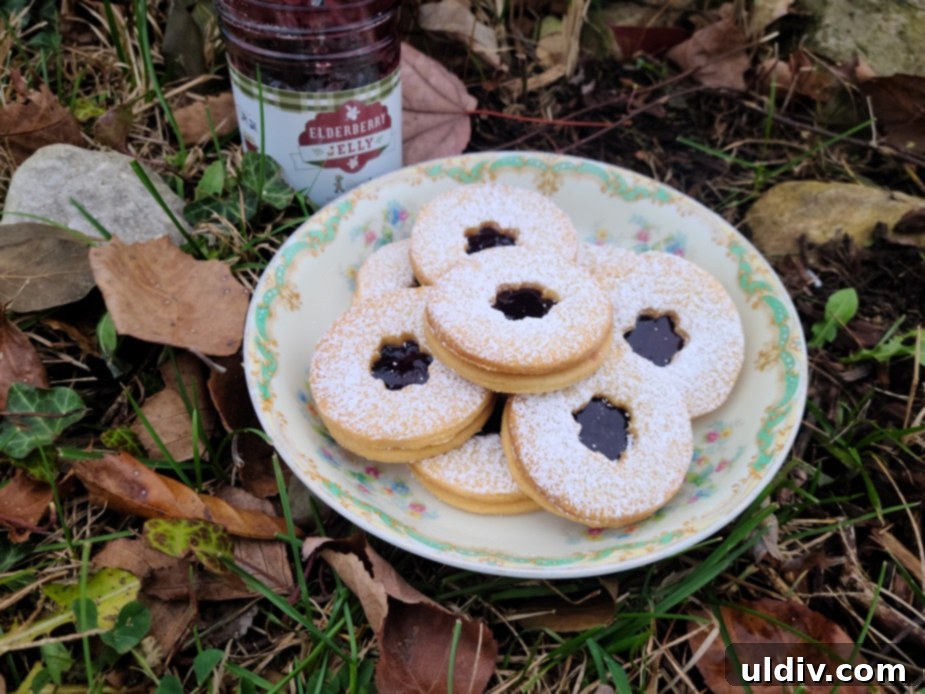 2021 Holiday Gift Guide Artisan Excellence 29 Elderberry jelly Christmas cookies