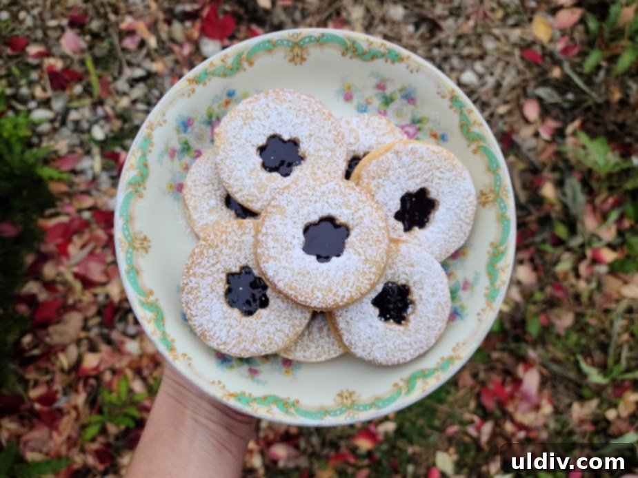 2021 Holiday Gift Guide Artisan Excellence 33 Finished Linzer cookies with elderberry jelly