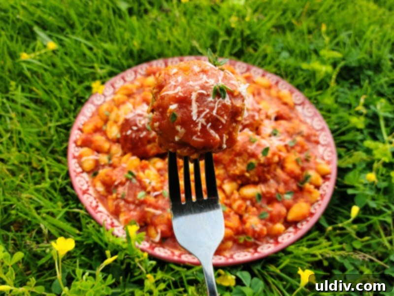 2021 Holiday Gift Guide Artisan Excellence 6 Meatballs with gnocchetti and grated parmesan cheese