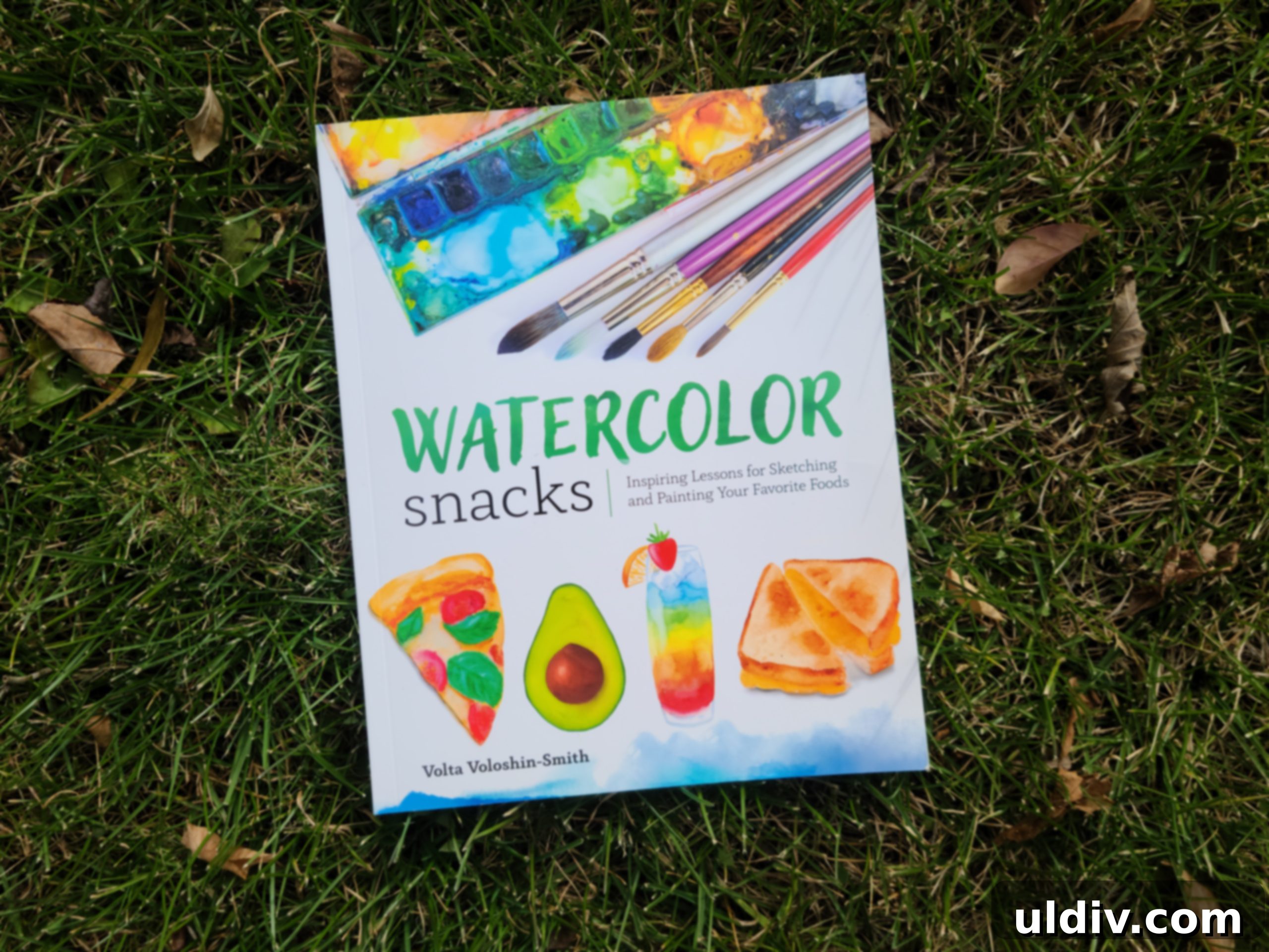 2021 Holiday Gift Guide Artisan Excellence 7 Watercolor Snacks book cover with food illustrations