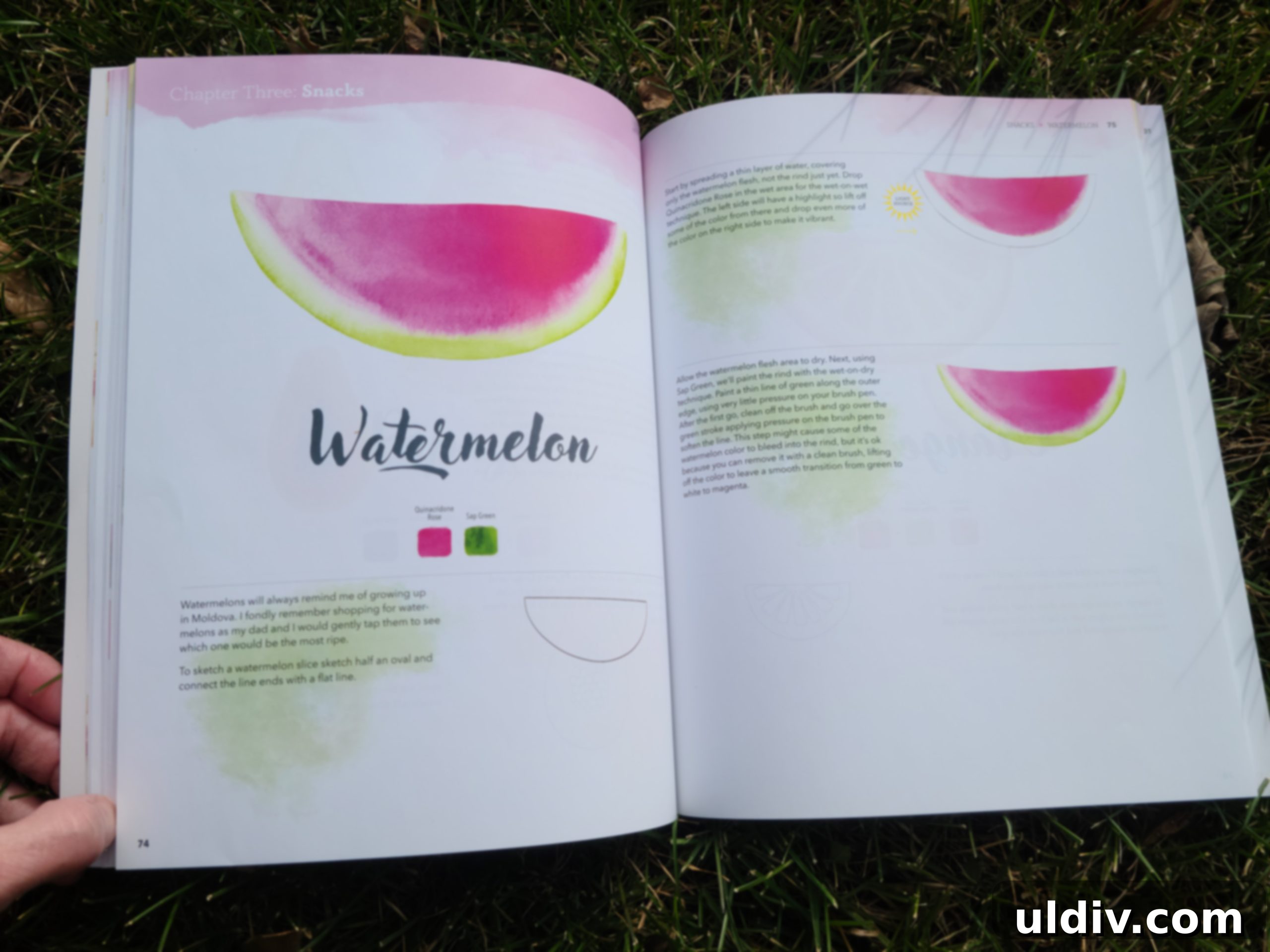 2021 Holiday Gift Guide Artisan Excellence 8 Illustrations of various foods from Watercolor Snacks book