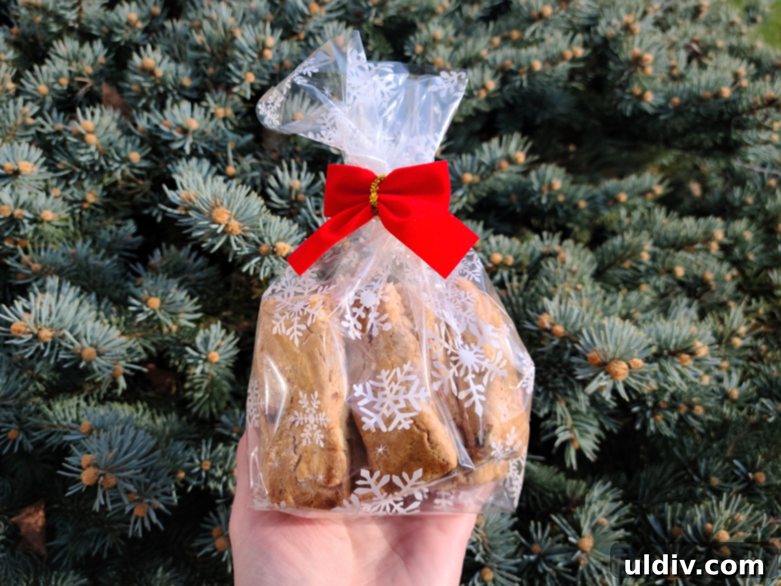 Totenbeinli: Switzerland's Exquisite Seasonal Treat 2 Delicious Totenbeinli cookies, a traditional Swiss hazelnut treat, arranged beautifully for a holiday spread.