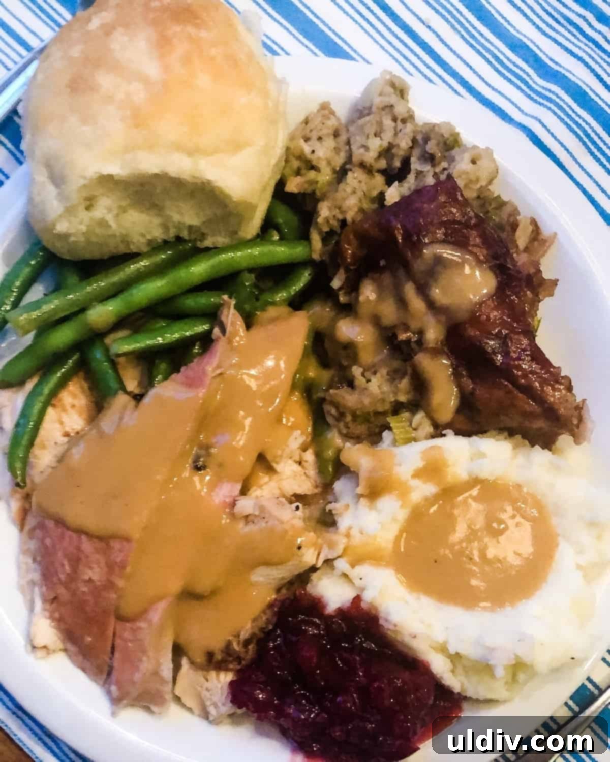 A Thanksgiving plate featuring a generous slice of golden brown grilled turkey, creamy mashed potatoes, vibrant cranberry sauce, tender green beans, and a warm dinner roll.
