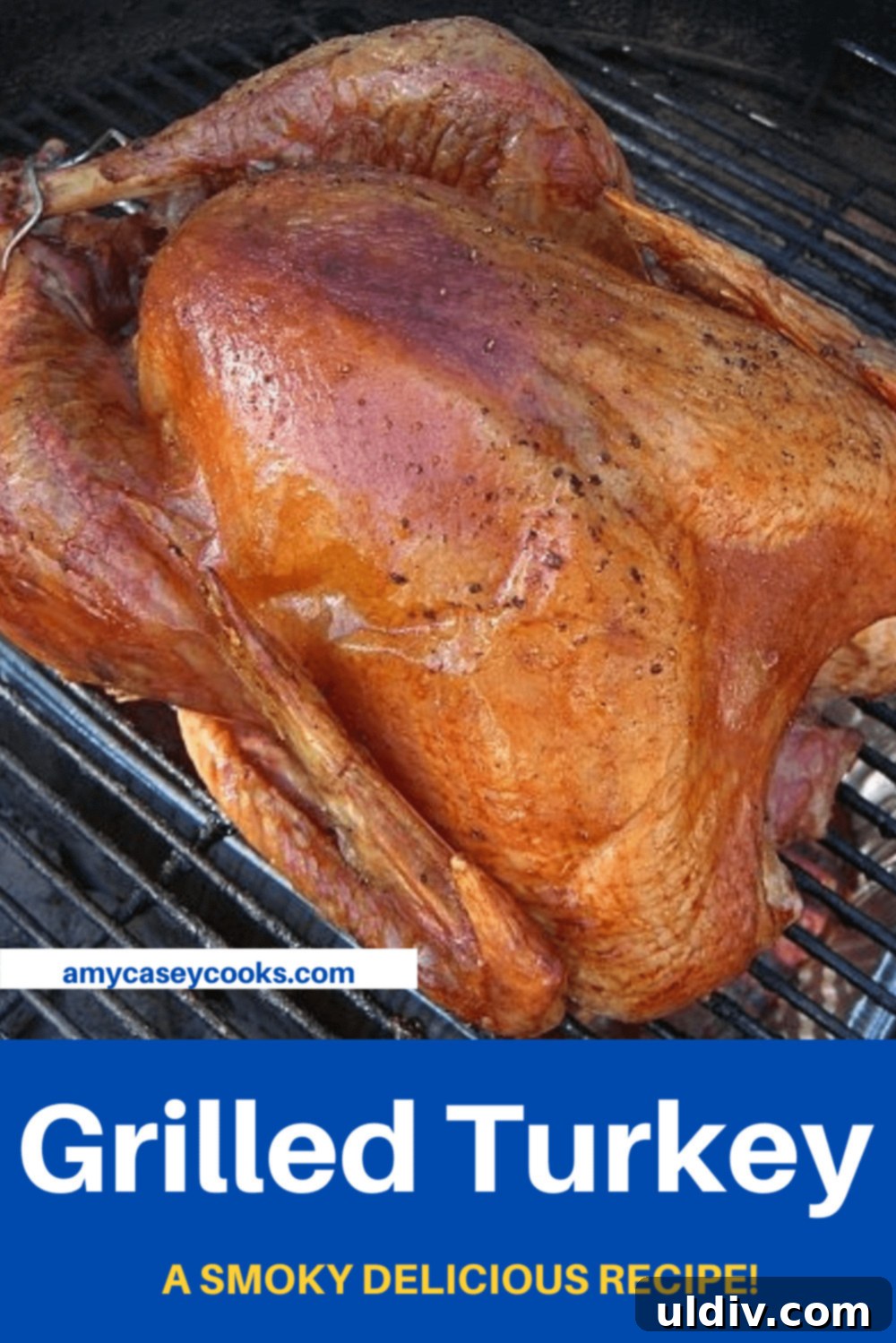 A beautifully golden brown grilled turkey resting on a grill, perfectly cooked and ready for carving.