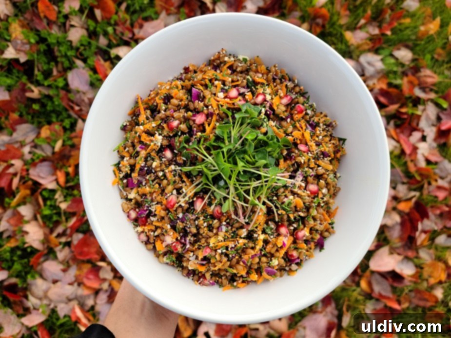 Warm salad with Champion radish microgreens, wheat berries, feta, carrots, and pomegranate.