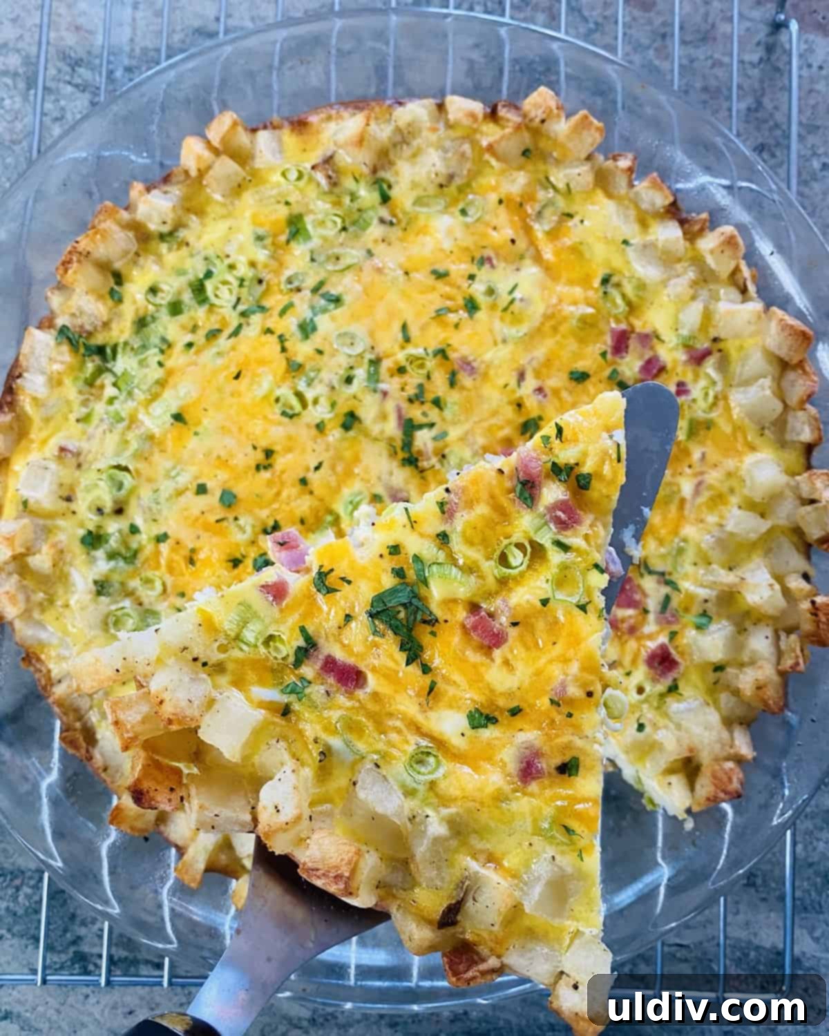 Golden Hash Brown Quiche: Ham and Cheese Delight 3 A perfectly baked slice of hash brown crust quiche showcasing layers of ham, cheddar, and fluffy eggs.