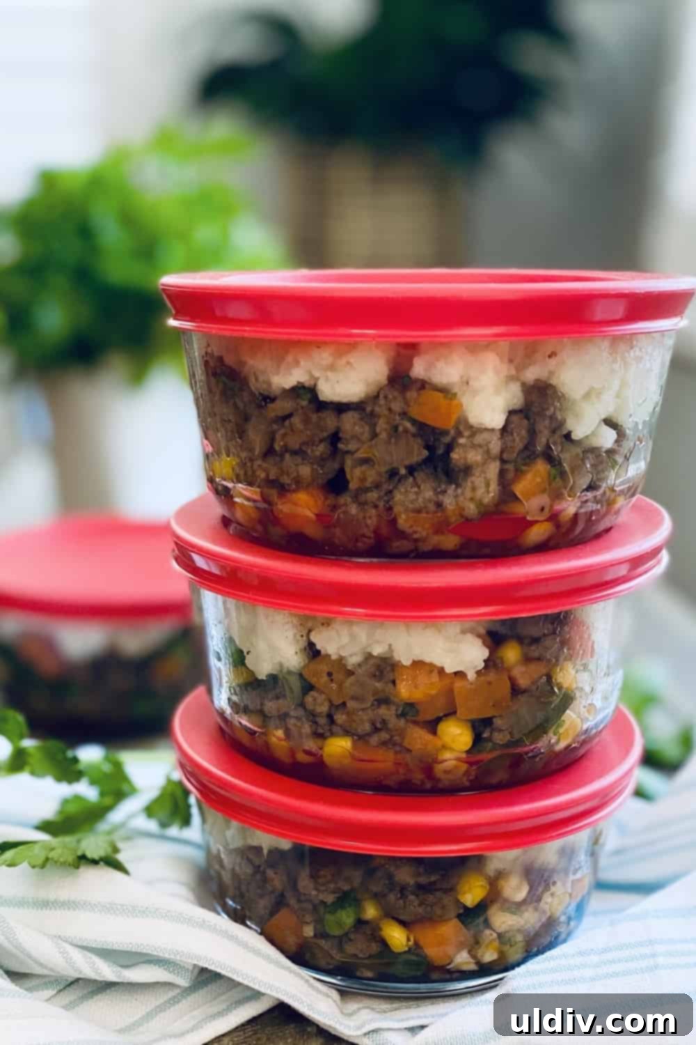 Creamy Cauliflower Shepherd's Pie 10 glass containers with ground turkey shepherd's pies