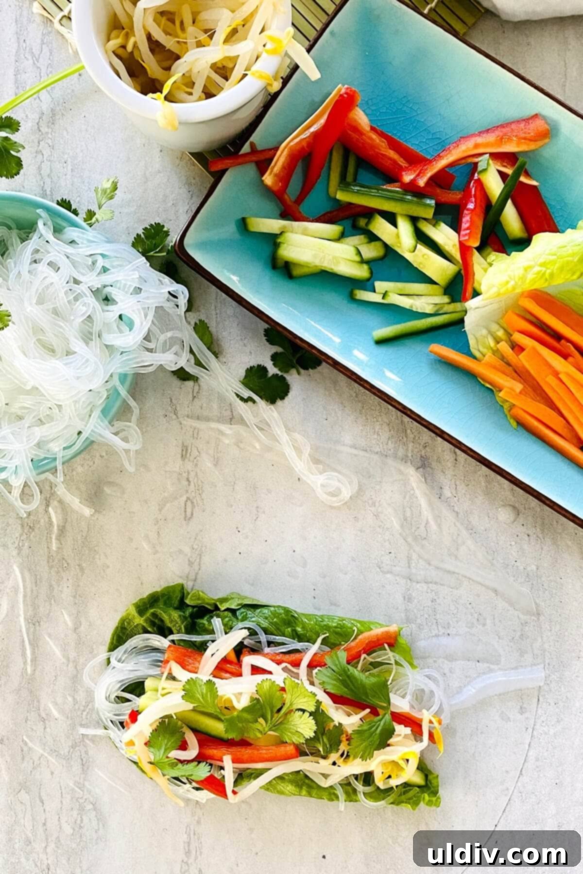 Fresh and Healthy Vegetable Spring Rolls 8 Filling a rice paper wrapper with spring roll ingredients.