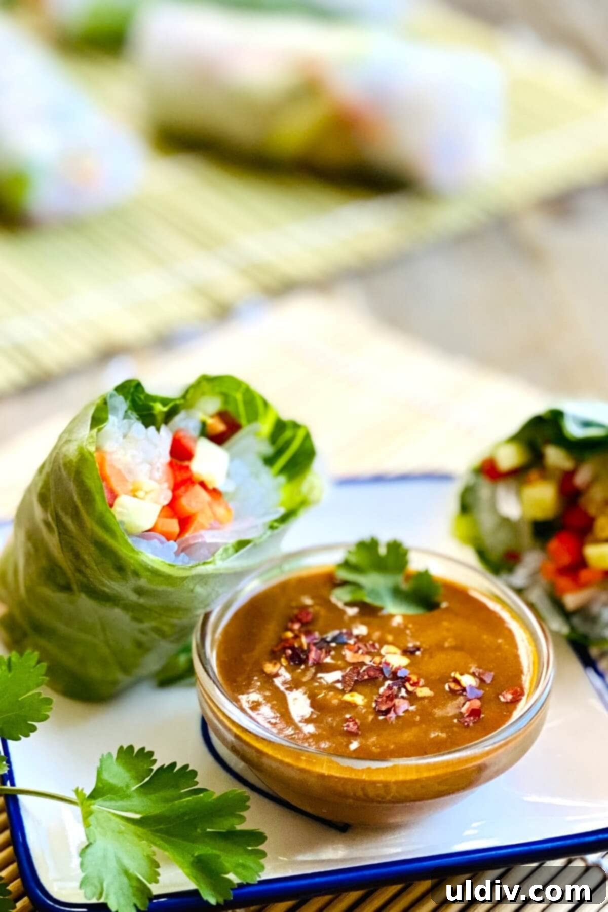 Beautifully prepared spring rolls, some cut in half to reveal their colorful fillings, displayed alongside a bowl of peanut sauce on an elegant ceramic platter, ready to be served.