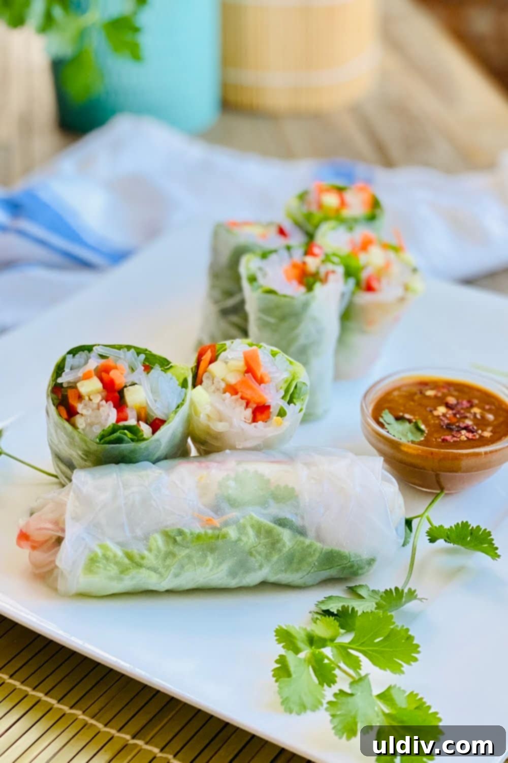 A beautifully composed platter of fresh vegetable spring rolls, garnished with vibrant herbs, accompanied by a rich peanut sesame dipping sauce, ready to be enjoyed.