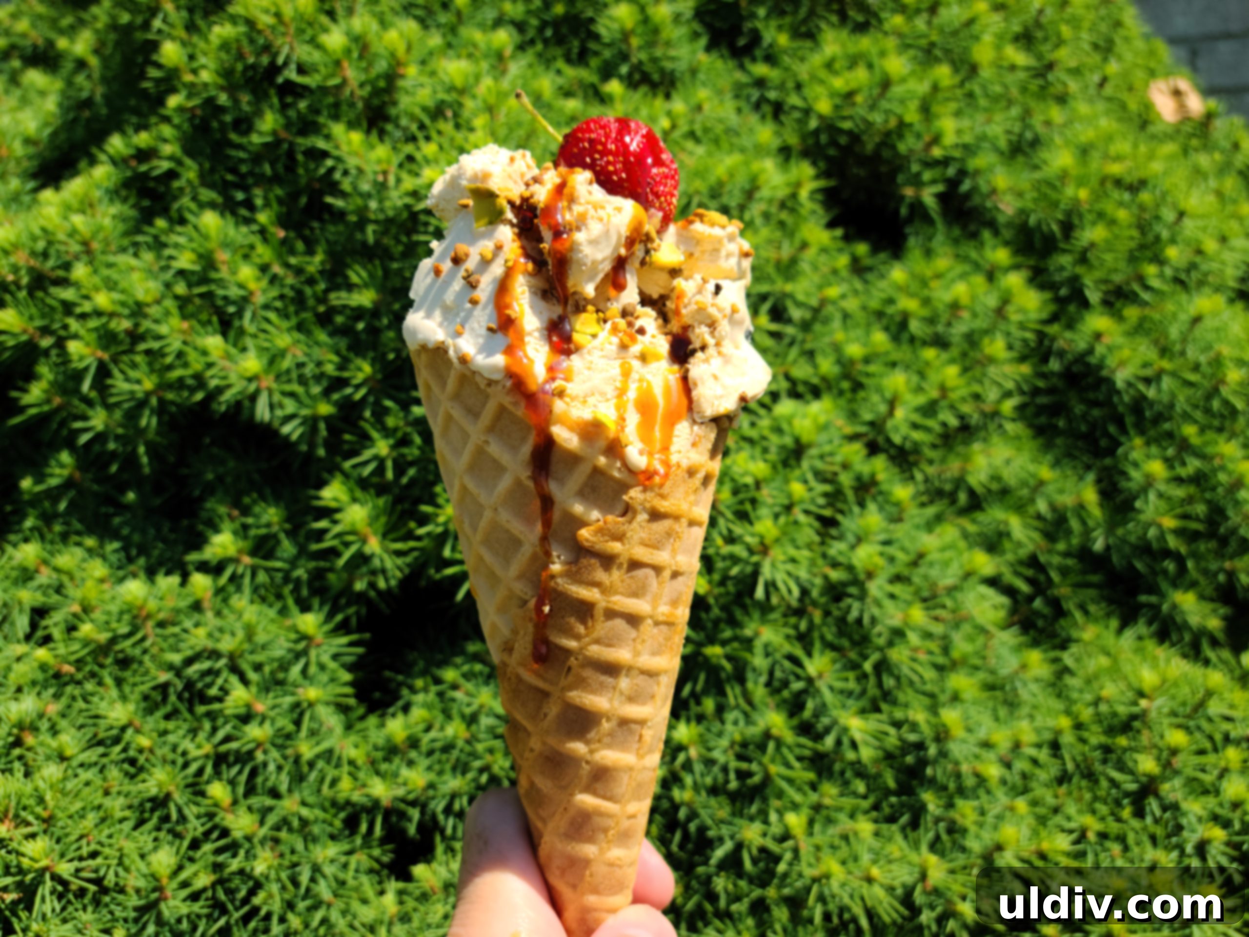 Your Summer Refresh Top Picks Beyond the Ice Cream Aisle 2 Delicious caramel and blueberry ice cream topped with D'vash Organics date syrup