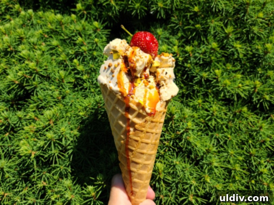 Your Summer Refresh Top Picks Beyond the Ice Cream Aisle 21 Caramel and blueberry ice cream topped with D'vash Organics date syrup
