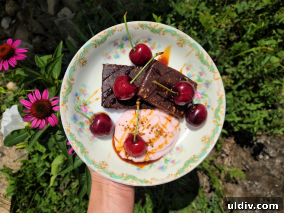Your Summer Refresh Top Picks Beyond the Ice Cream Aisle 24 D'vash Organics date energy bars in packaging