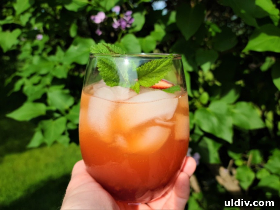 Your Summer Refresh Top Picks Beyond the Ice Cream Aisle 27 Lilac mocktail made with the Elevated Craft Hybrid Cocktail Shaker