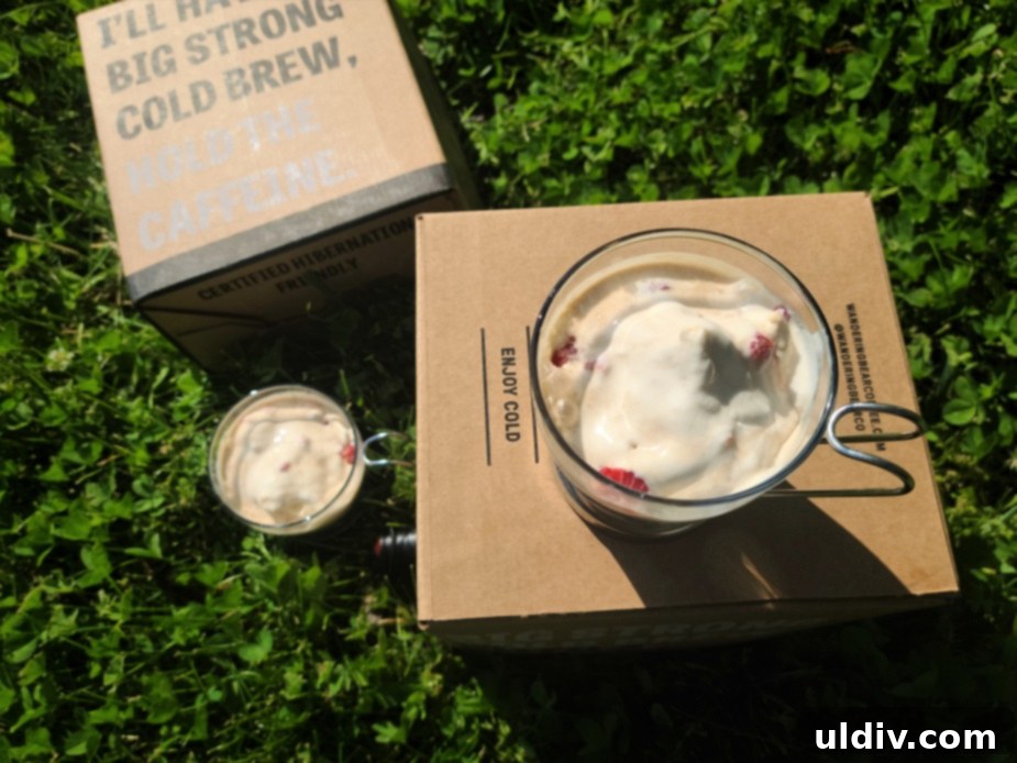 Your Summer Refresh Top Picks Beyond the Ice Cream Aisle 29 Wandering Bear Extra Strong Cold Brew on Tap box
