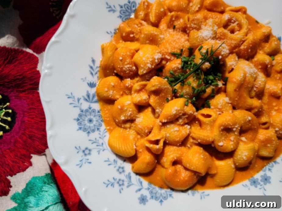 Your Summer Refresh Top Picks Beyond the Ice Cream Aisle 7 Gemma Foods Canestri pasta with Vodka Sauce