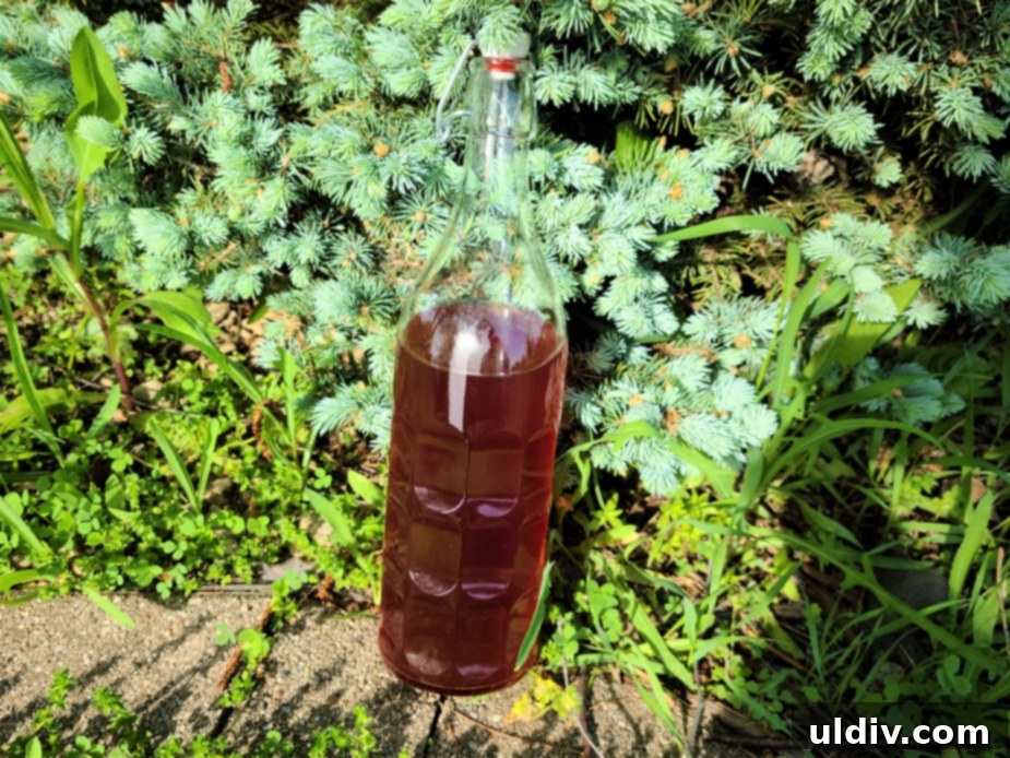 Summer Sips Lilac Mocktail Bliss 6 A vibrant lilac mocktail garnished with strawberries and lemon balm leaves.