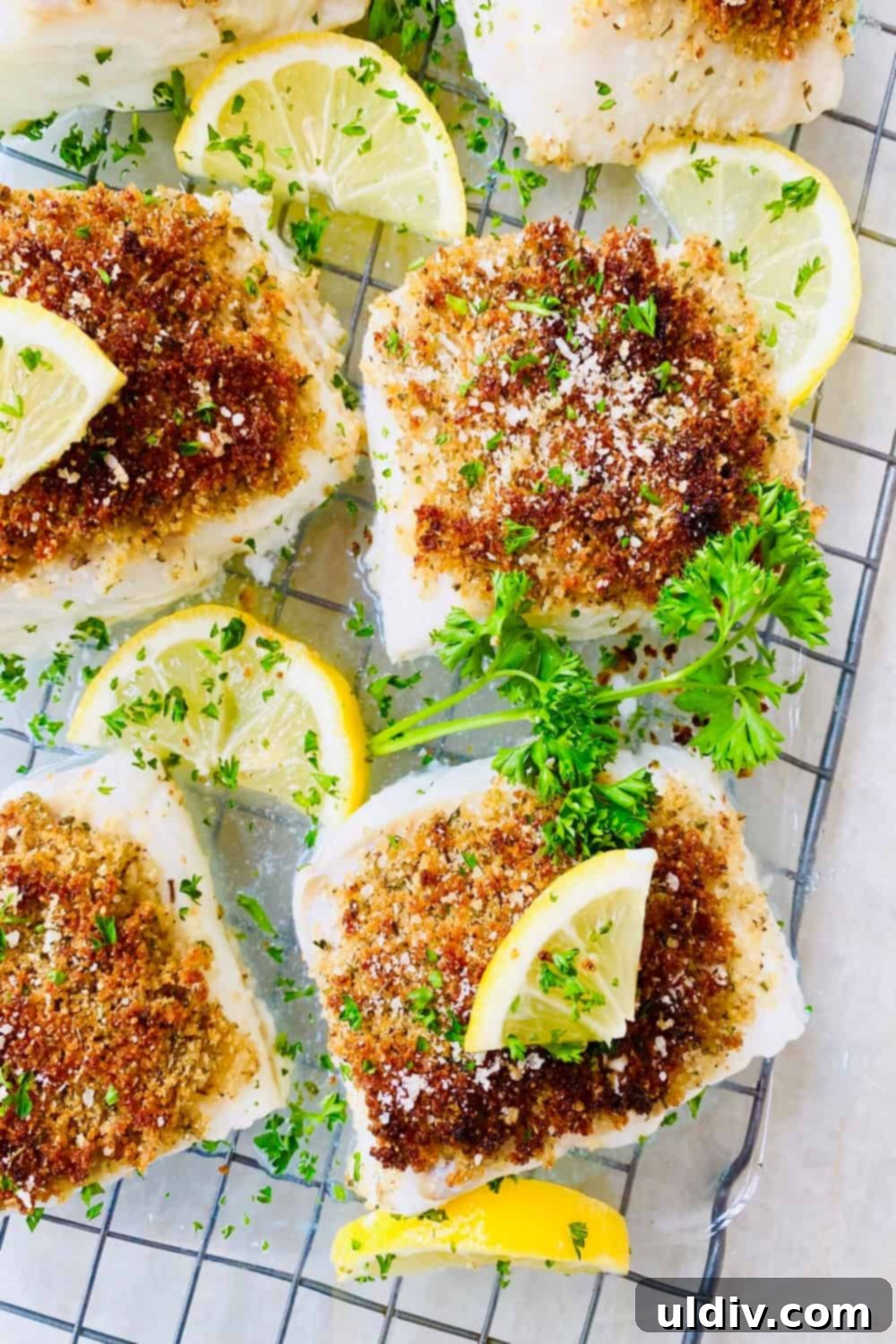 Baked Cod with Herbed Breadcrumbs 2 Four perfectly oven-baked cod fillets topped with golden breadcrumbs and garnished with fresh lemon slices, ready to serve.