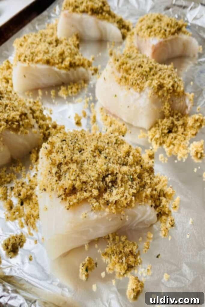 Baked Cod with Herbed Breadcrumbs 6 Several cod fillets neatly arranged on a baking sheet, each generously covered with a seasoned breadcrumb and cheese topping, ready for the oven.