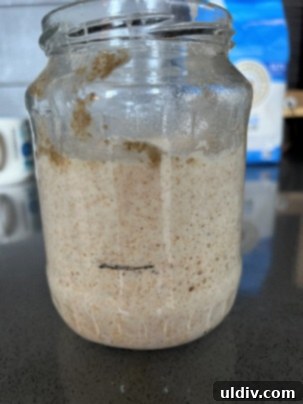 Active sourdough starter