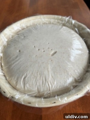 Sourdough dough in a banneton basket