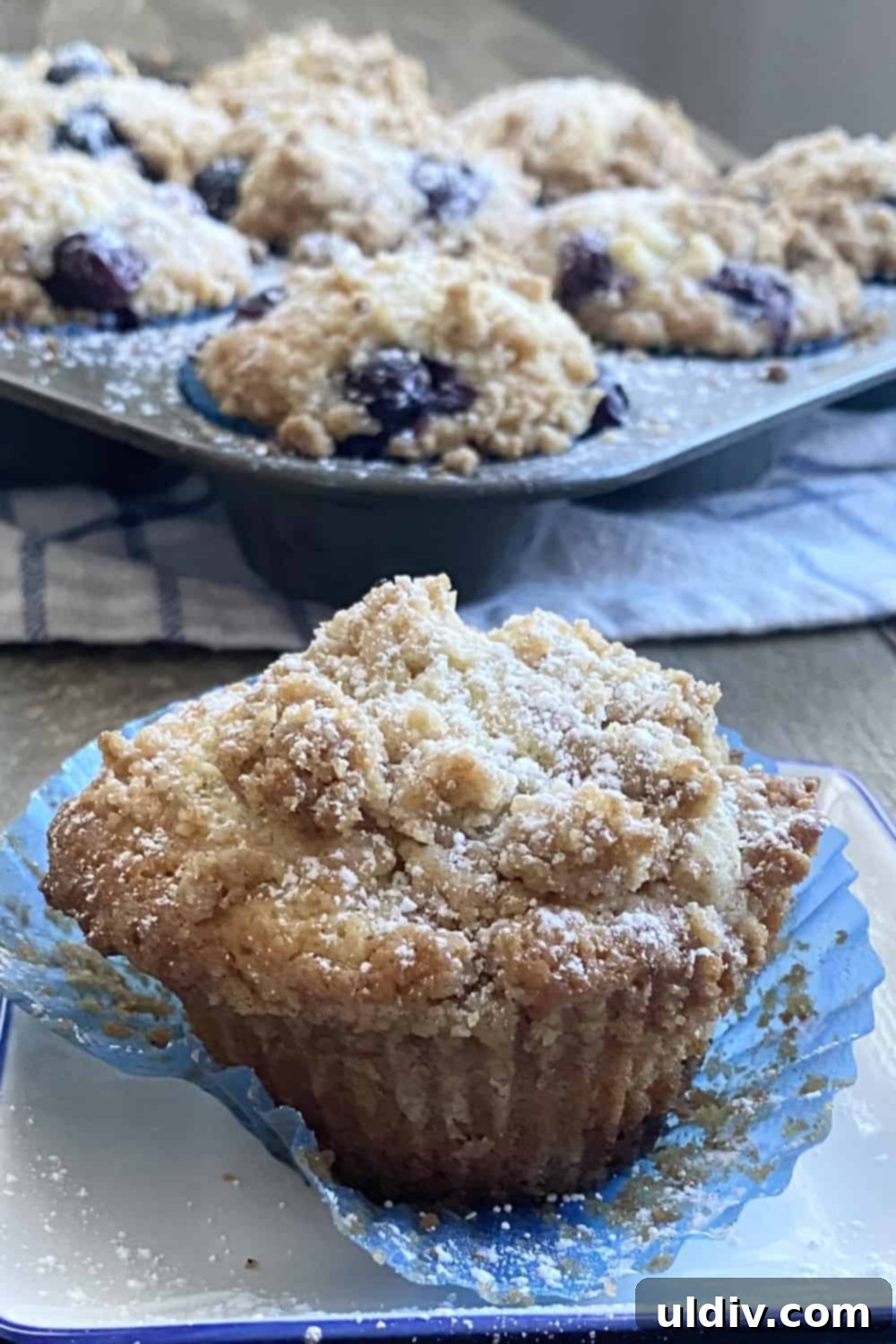 Signature Coffee Cake Muffins 2 Delicious Coffee Cake Muffins with a crumb topping, one removed from a muffin tin and placed on a plate.