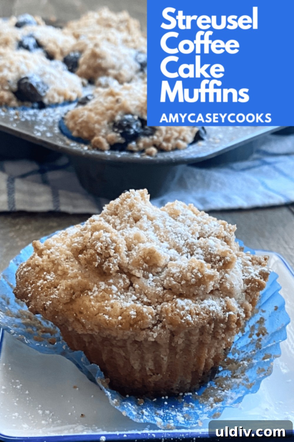 Signature Coffee Cake Muffins 11 A single streusel-topped coffee cake muffin, perfectly golden brown and ready to enjoy, removed from its paper liner.