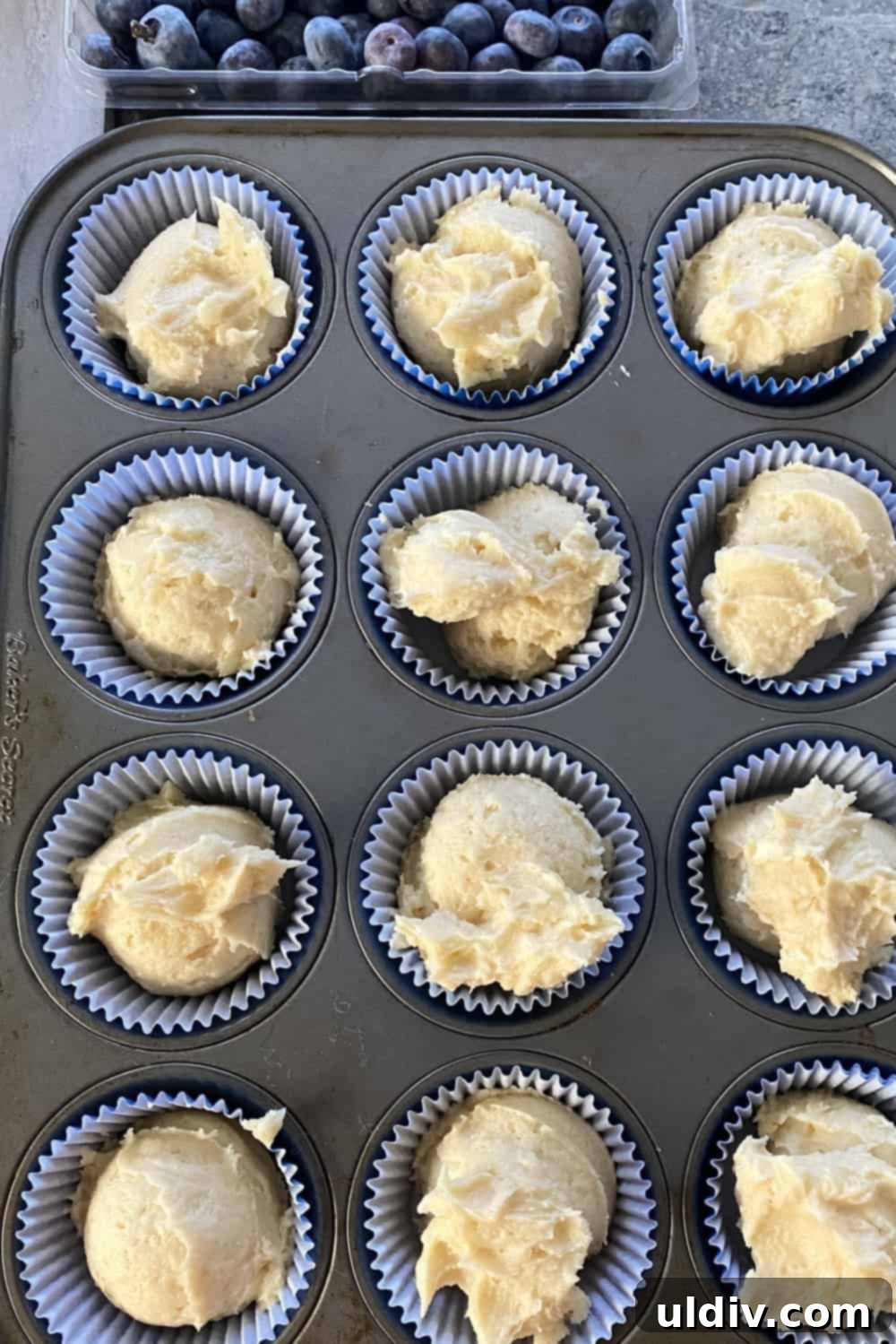 Signature Coffee Cake Muffins 6 Muffin batter evenly portioned and ready in a baking pan, awaiting streusel topping.