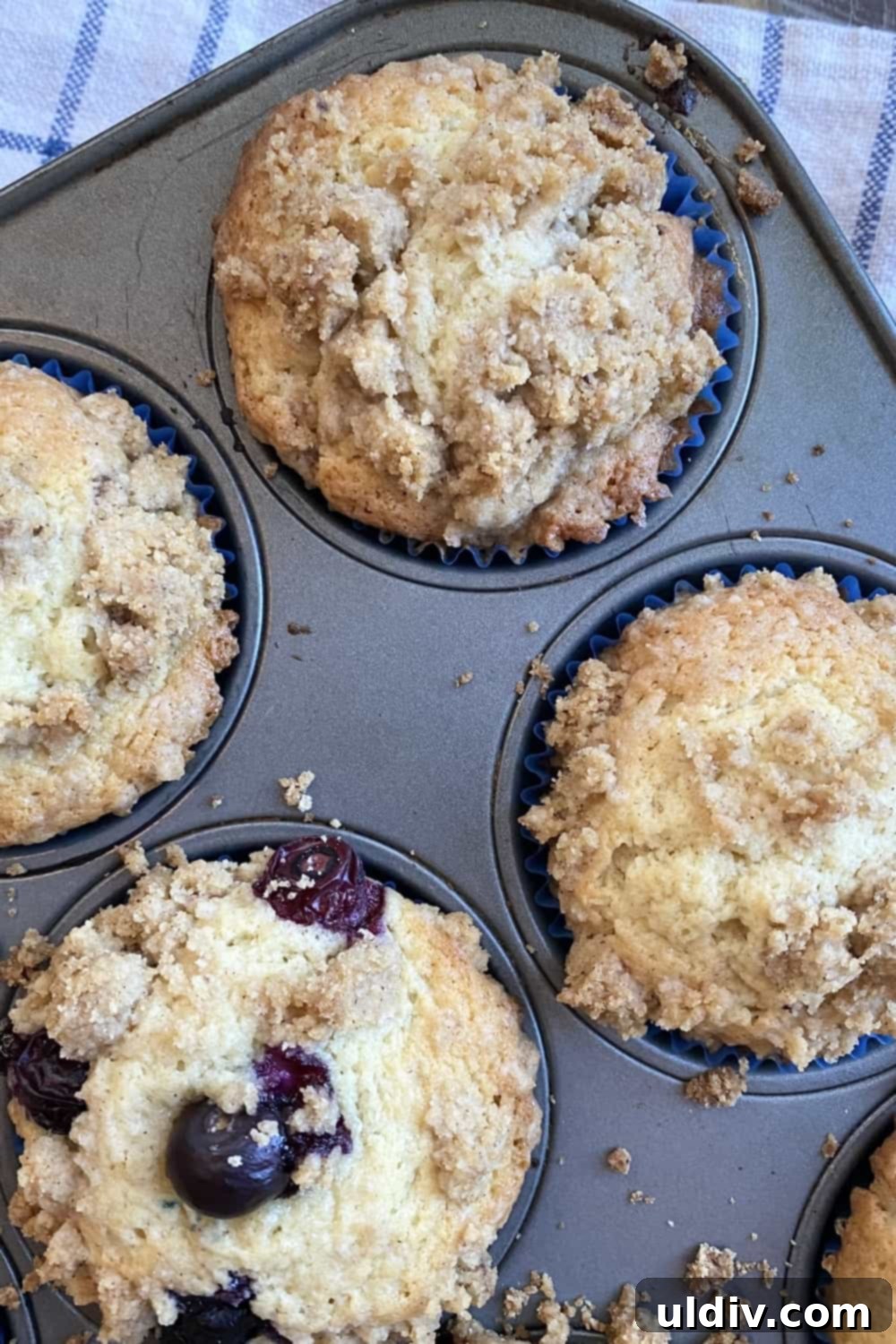 Signature Coffee Cake Muffins 8 Four delicious coffee cake muffins, perfectly baked and ready for breakfast or a sweet treat.