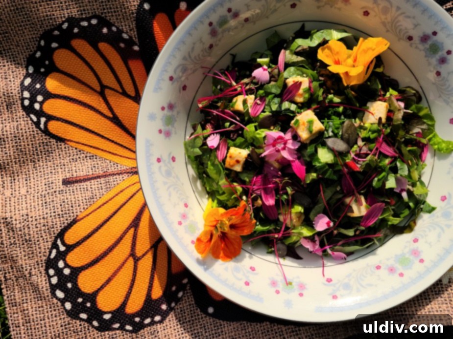Join Us to Save Monarch Butterflies 5 Edible flower salad