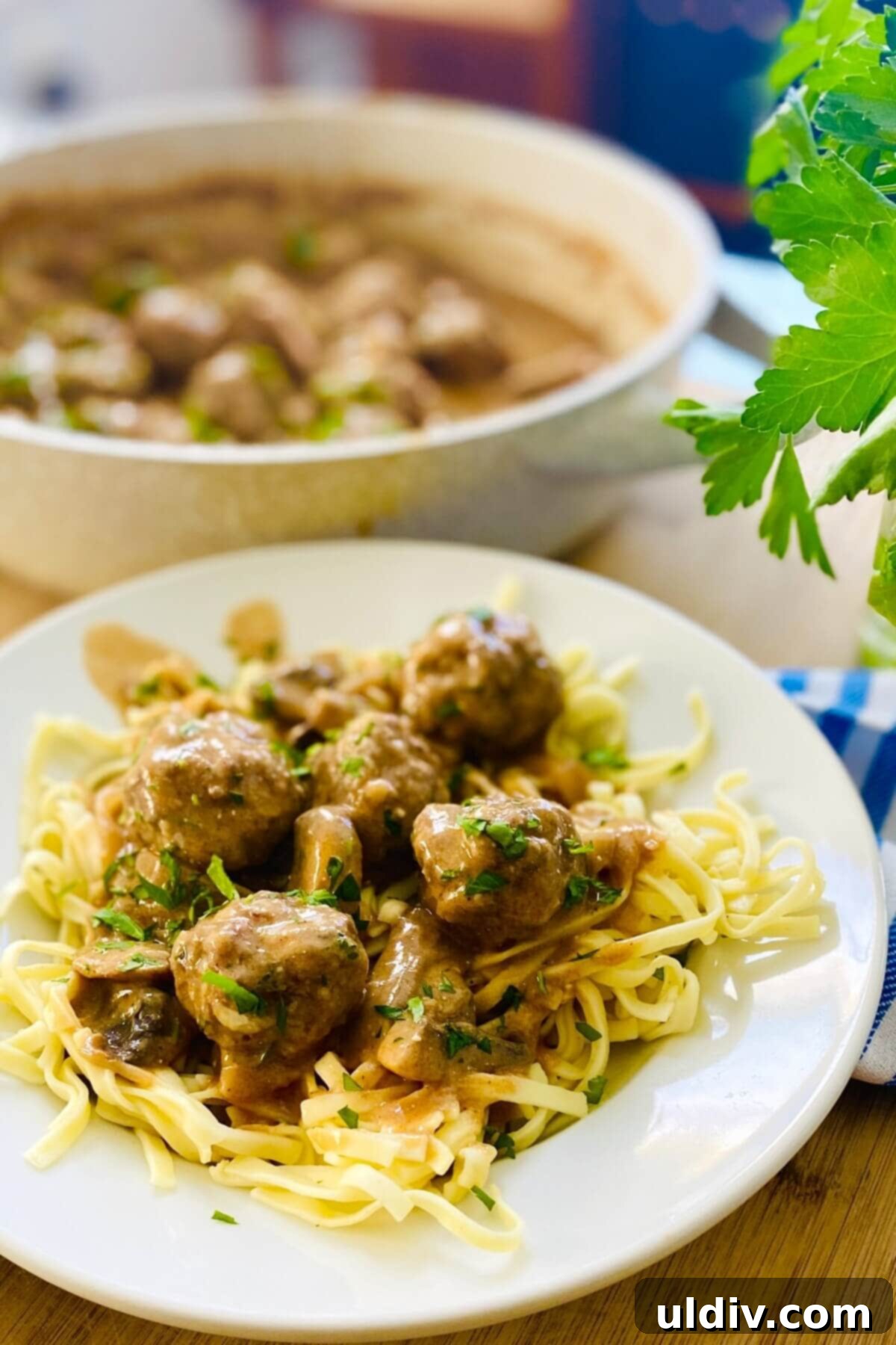 Quick and Easy Meatball Stroganoff 13 A beautifully presented serving of rich beef stroganoff with homemade meatballs on a plate, garnished with fresh herbs.
