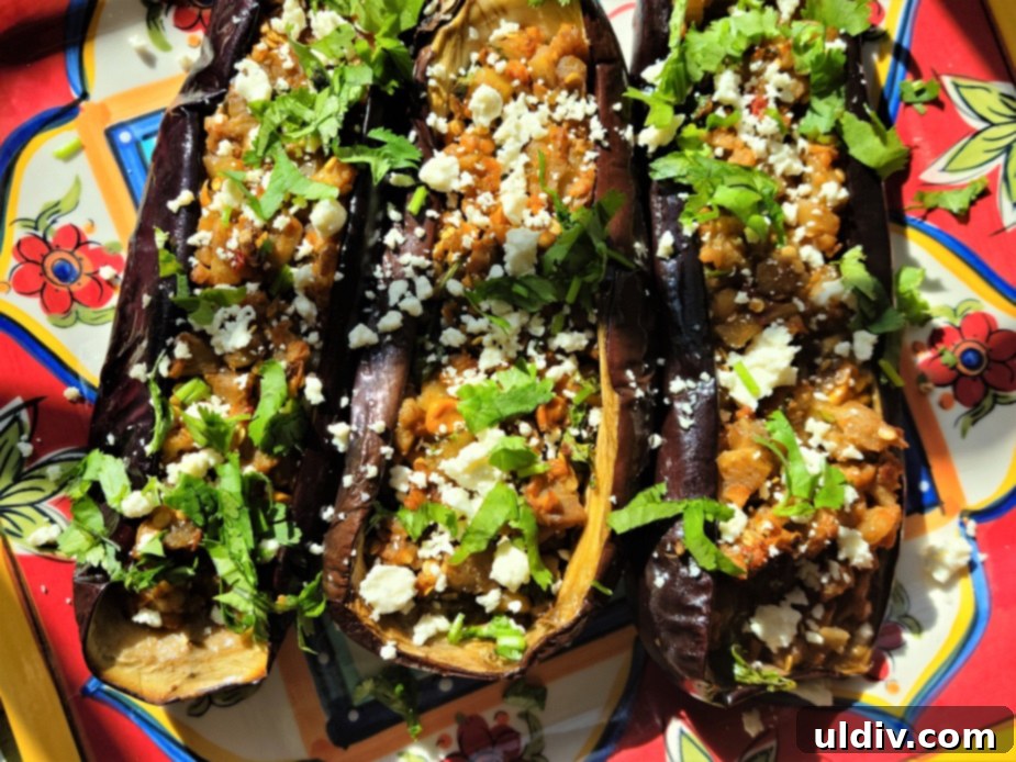 Vegan Favorites for World Vegan Month and Beyond 15 Stuffed Eggplants with Feta and Cilantro