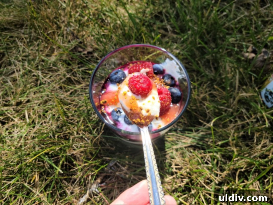 Vegan Favorites for World Vegan Month and Beyond 5 Sea Moss Gel in Parfait