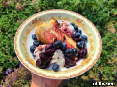 Summer's Sweetest Blueberry Creations 12 A scoop of homemade no-churn blueberry ice cream, adorned with fresh blueberries and paired with a slice of burnt Basque cheesecake.