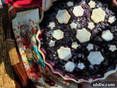 Summer's Sweetest Blueberry Creations 10 A vibrant blueberry and cherry tart, freshly baked in a DUKA baking pan, ready to be served.