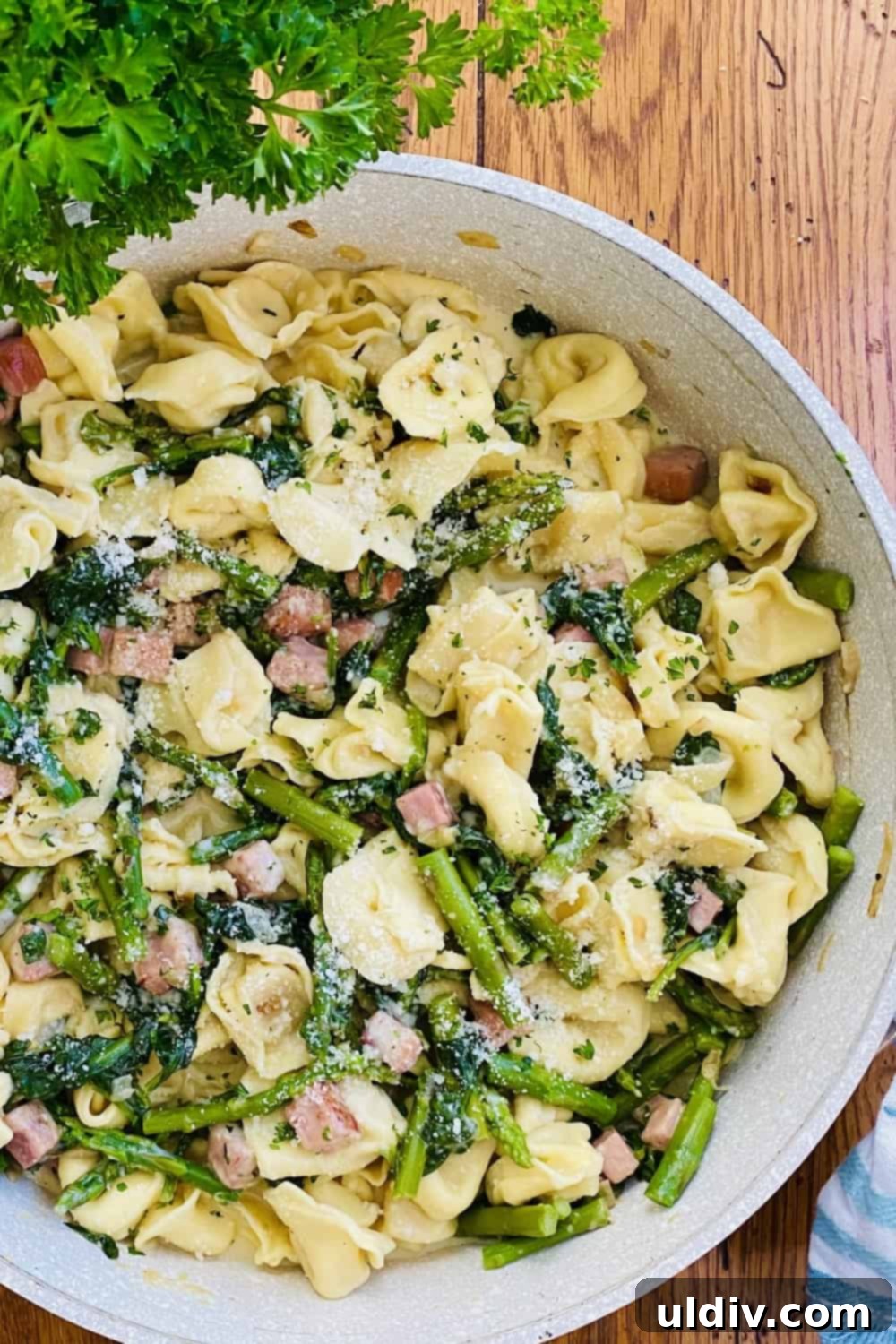 Asparagus, Spinach and Ham Tortellini 2 Creamy tortellini pasta with diced ham, fresh asparagus, and vibrant spinach in a light Parmesan sauce
