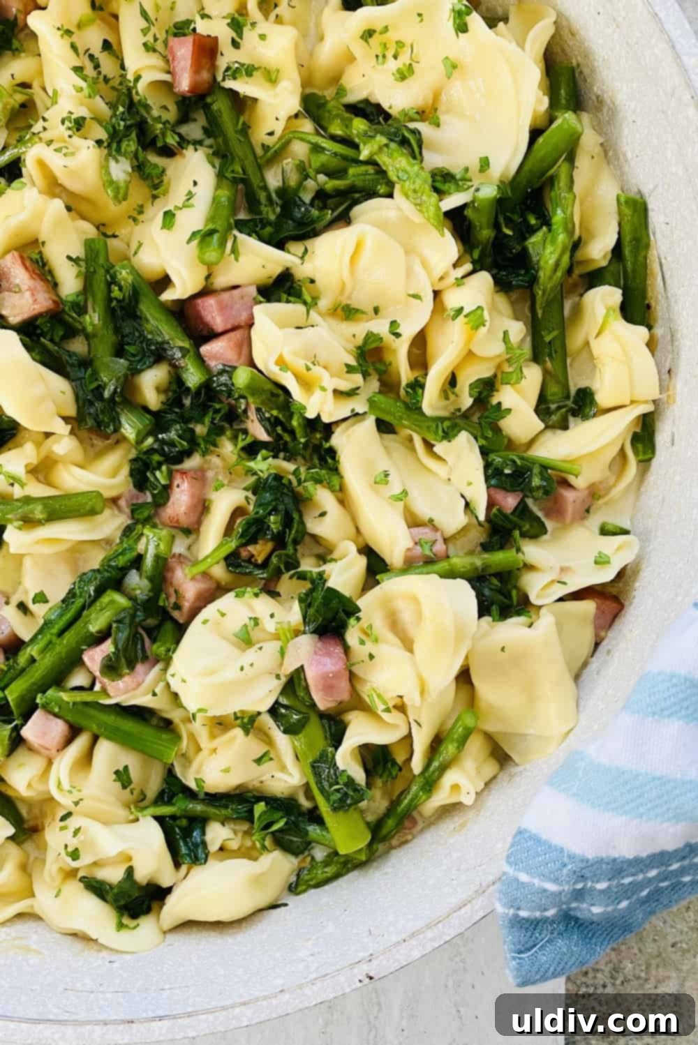 Asparagus, Spinach and Ham Tortellini 8 Close-up of cheese tortellini pasta with sauteed ham, asparagus, and spinach in a creamy Parmesan sauce