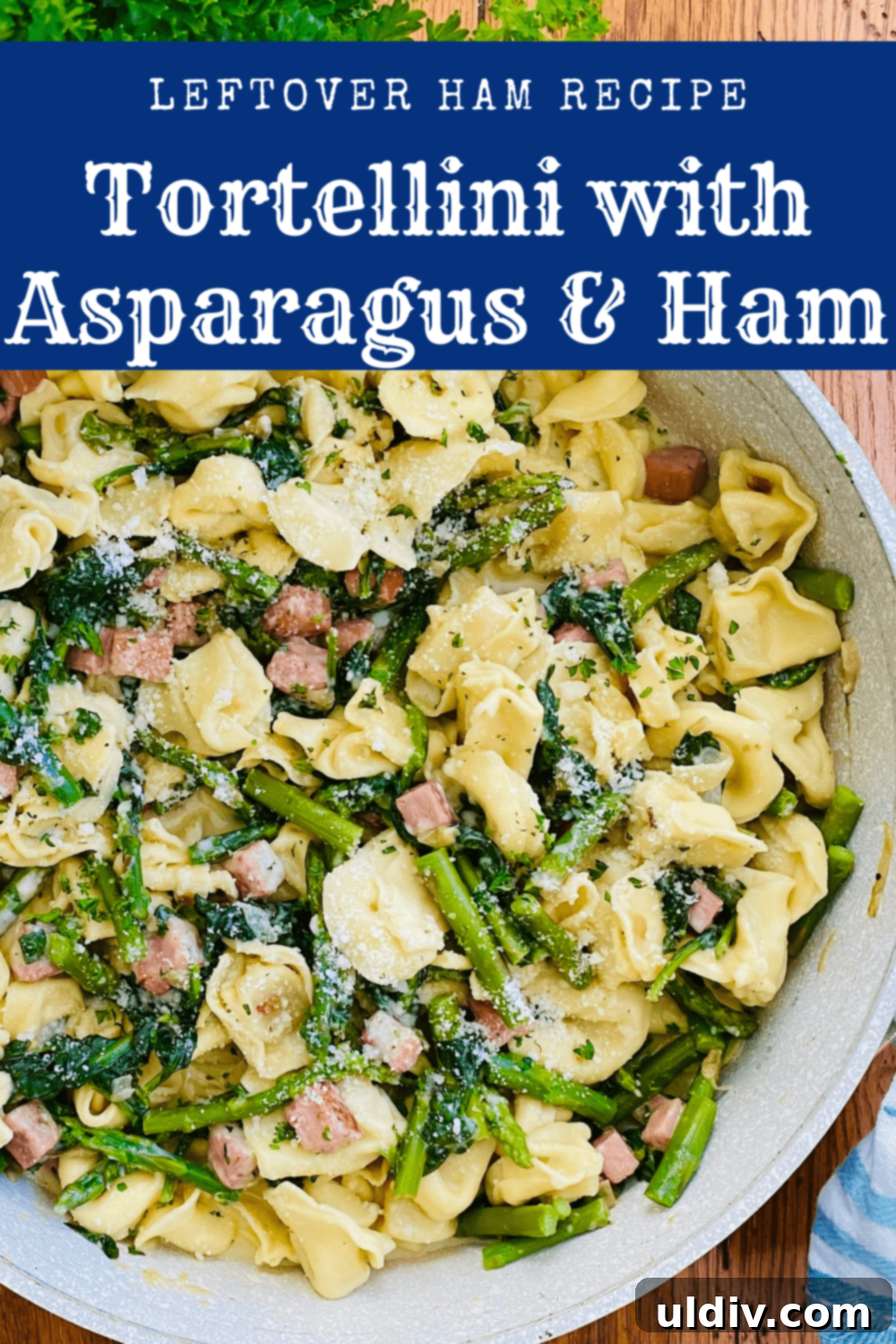 Asparagus, Spinach and Ham Tortellini 9 Beautifully plated tortellini pasta with asparagus, spinach, and ham, ready to be served
