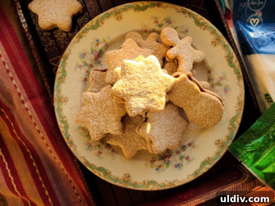 Unlock Festive Flavor: Zulka Sugar's Year-End Baking Extravaganza 10 Delicious peanut and raspberry cookies